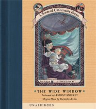 Cover image for The Wide Window