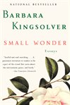 Small wonder cover image