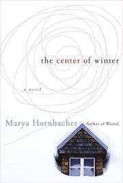 The center of winter cover image