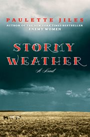 Stormy weather : [a novel] cover image