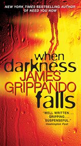 When Darkness Falls cover image