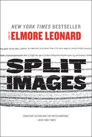 Split images : a novel by cover image