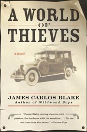 A world of thieves : a novel cover image