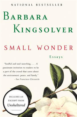 Cover image for Small Wonder