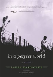 In a perfect world : a novel cover image