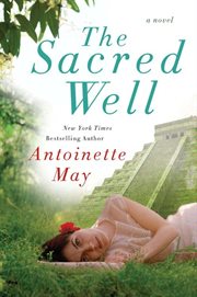 The sacred well : a novel cover image