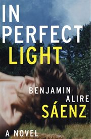 In perfect light : a novel cover image