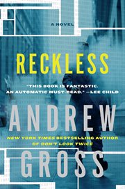Reckless. A Novel cover image