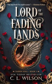 Lord of the fading lands cover image