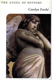 The angel of history cover image