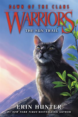 Cover image for The Sun Trail