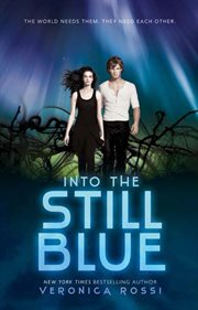 Into the still blue cover image