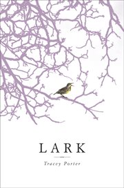 Lark cover image