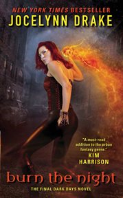 Burn the night : the final dark days novel cover image