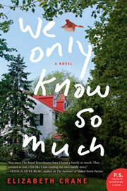 We only know so much : a novel cover image
