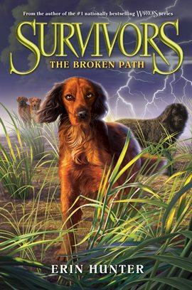Cover image for The Broken Path