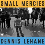 Small Mercies : A Novel cover image