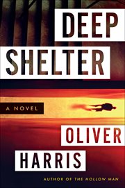 Deep Shelter : a novel cover image