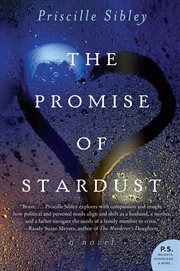 The promise of stardust cover image
