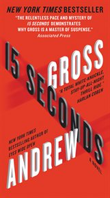 15 seconds. A Novel cover image