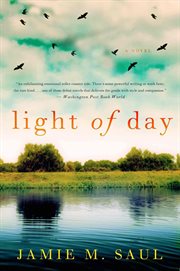 The light of day cover image