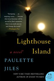 Lighthouse island : a novel cover image