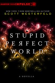 Stupid perfect world cover image