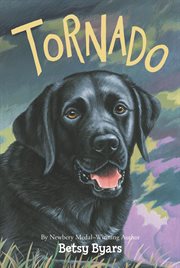 Tornado cover image