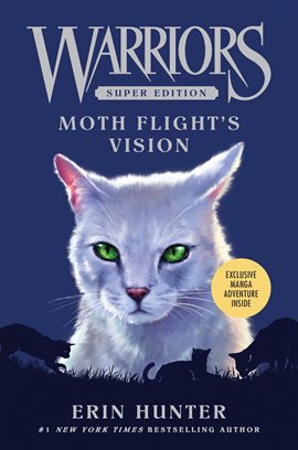 Cover image for Moth Flight's Vision