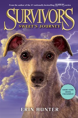 Cover image for Sweet's Journey