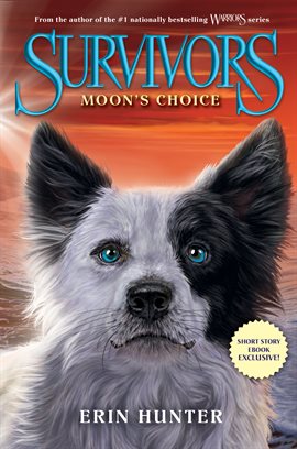 Cover image for Moon's Choice