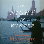 One night in winter : a novel cover image