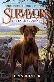 Survivors : The exile's journey cover image