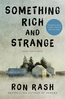 Cover image for Something Rich and Strange