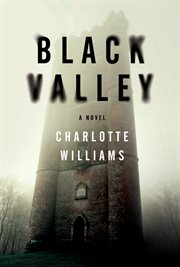 Black Valley : a novel cover image