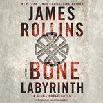 The bone labyrinth cover image