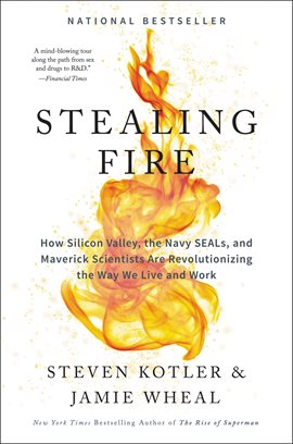 Cover image for Stealing Fire