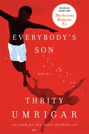 Everybody's son : a novel cover image