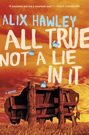 All true not a lie in it : a novel cover image
