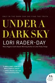 Under a dark sky : a novel cover image