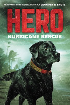 Cover image for Hurricane Rescue