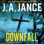 Downfall : a Brady novel of suspense