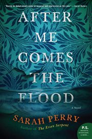 After me comes the flood : a novel cover image