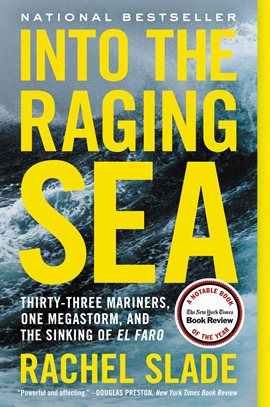 Cover image for Into the Raging Sea