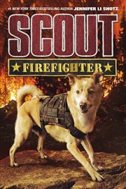 Firefighter cover image