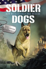 Air raid search and rescue cover image