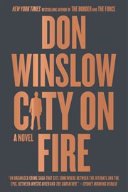City on fire : a novel cover image