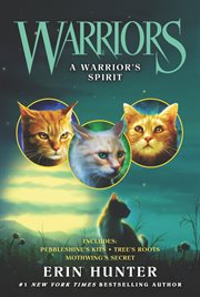 A Warrior's Spirit cover image
