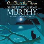 Cat chase the moon cover image