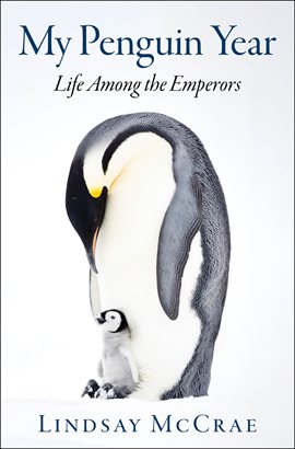 Cover image for My Penguin Year